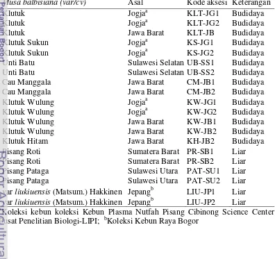 Tabel 1  Dua puluh satu aksesi Musa balbisiana yang digunakan dalam studi keragaman genetik 