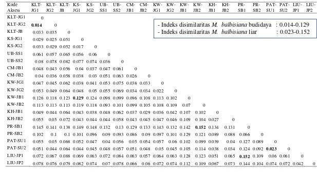 Tabel 5  Indeks disimilaritas (Nei dan Li 1979) pada 21 aksesi Musa balbisiana berdasarkan total pita (485 pita) yang dihasilkan dari 22 pasang primer AFLP 