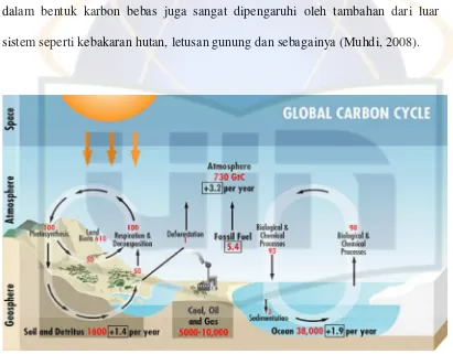 Gambar 1. Siklus Karbon 