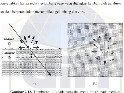 Gambar 2.13.  Hamburan : (a) pada batas dua medium ; (b) pada medium 