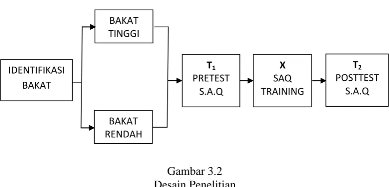Gambar 3.2  Desain Penelitian 