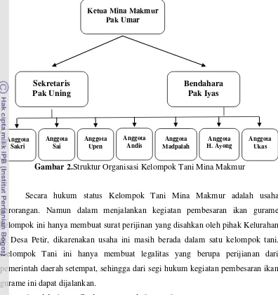 Gambar 2.Struktur Organisasi Kelompok Tani Mina Makmur 