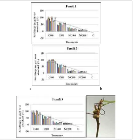 Figure 3: Percentage of seedlings in gall rust attacked from family 1 (a), from family 2 (b), from family 3 (c), stem of sengon seedling attacked by gall rust (d) and petiole of sengon seedling attacked by gall rust (e) 