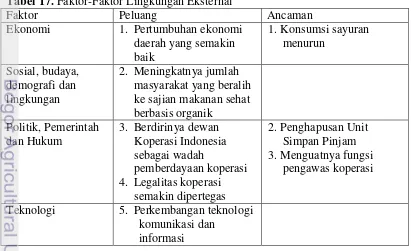 Tabel 17. Faktor-Faktor Lingkungan Eksternal 