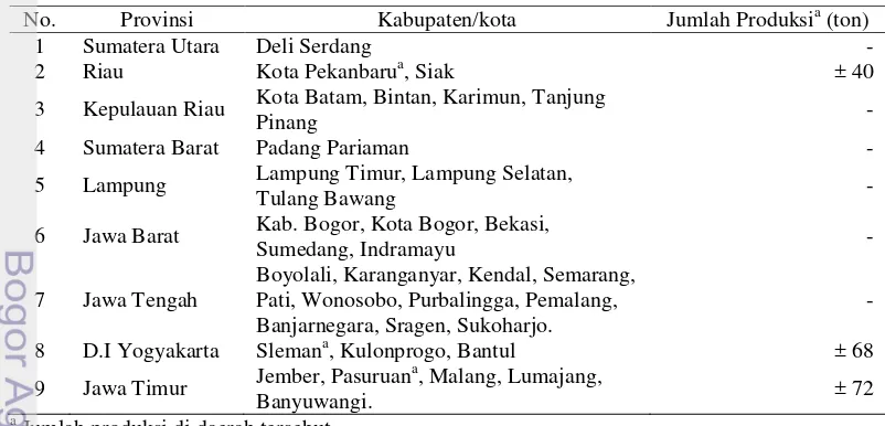 Tabel 6 Sentra produksi buah naga Indonesia 