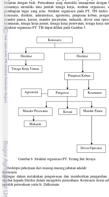 Gambar 6  Struktur organisasi PT. Terang Inti Seraya  
