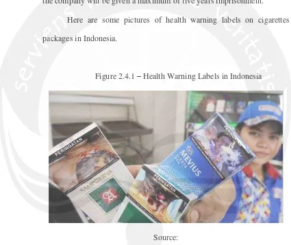 Figure 2.4.1 – Health Warning Labels in Indonesia 
