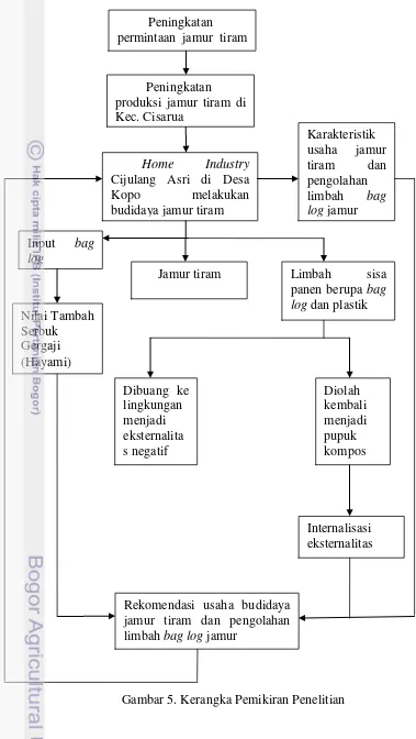 Gambar 5. Kerangka Pemikiran Penelitian 