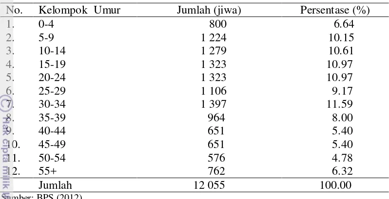 Tabel 3  Jumlah penduduk menurut kelompok umur tahun 2011 
