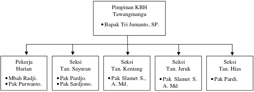 Gambar 1. Struktur organisasi KBH Tawangmangu 