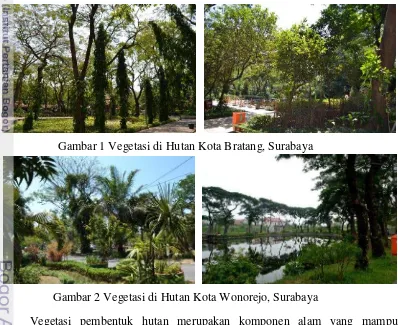 Gambar 1 Vegetasi di Hutan Kota Bratang, Surabaya 