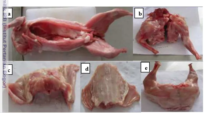 Gambar 1  Karkas dan potongan komersial kelinci dengan bagian yaitu karkas (a),  foreleg (b), 