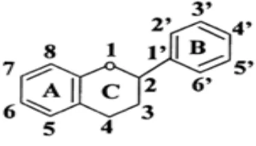 Gambar 1. Struktur Flavonoida 
