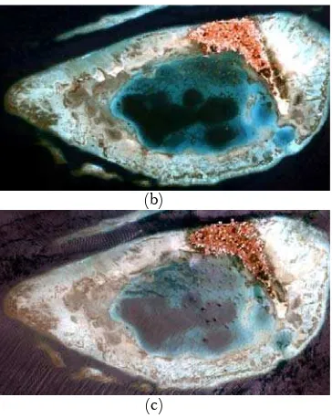 Figure 2.  Natural composite images of study area: a) ALOS AVNIR, b) Quickbird 2 