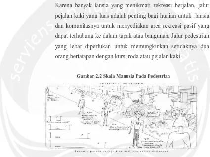 Gambar 2.2 Skala Manusia Pada Pedestrian 