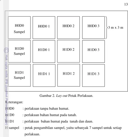 Gambar 2. Lay out Petak Perlakuan. 