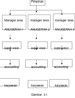 Gambar  3.1 Struktur organisasi Toko ANUGERAH  