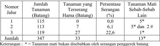 Tabel 2. Persentase serangan hama penggerek batang pada tanaman kapur (D. lanceolata Burck) PT