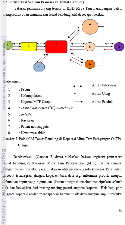Gambar 7. Pola SCM Tomat Bandung di Koperasi Mitra Tani Parhyangan (MTP) 