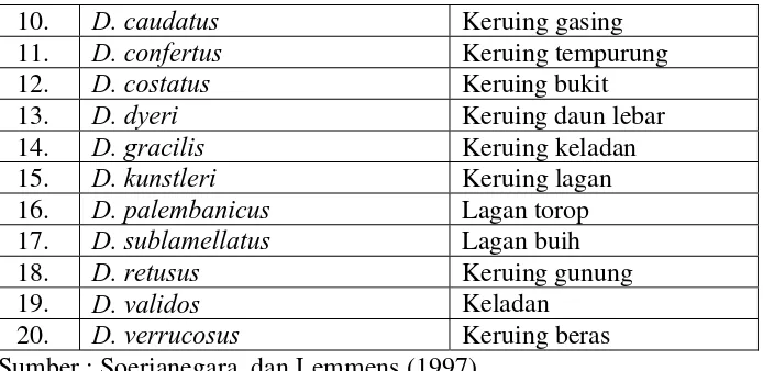 Tabel 2. Daftar jenis pohon penghasil damar  dari Dipterocarpaceae 