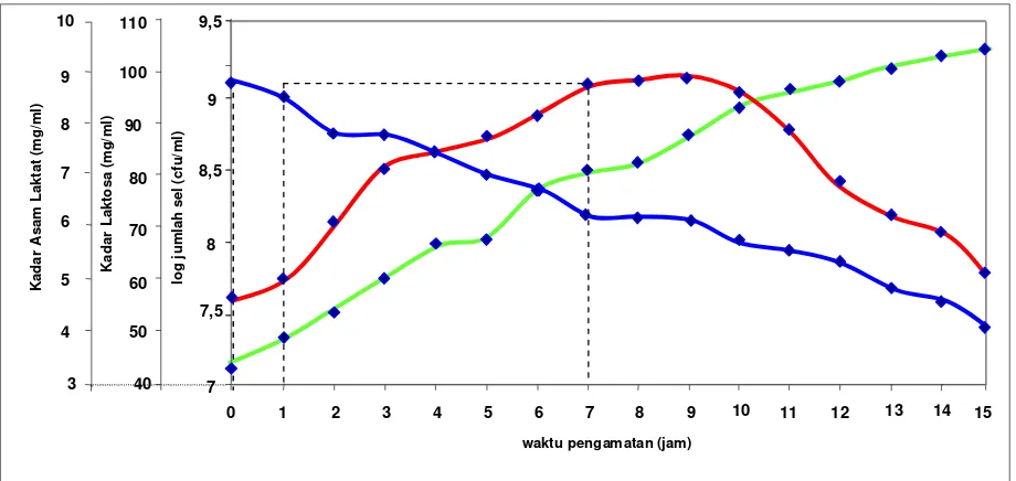 Gambar 2.  Grafik Hubungan antara Log Jumlah Sel, Kadar Laktosa, Kadar Asam Laktat dengan Waktu Pengamatan pada Pembuatan Yoghurt Putih 
