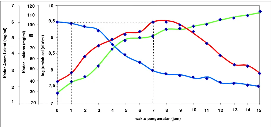 Gambar 3.  Grafik Hubungan antara Log Jumlah Sel, Kadar Laktosa, Kadar Asam Laktat dengan Waktu Pengamatan pada Pembuatan Yoghurt Ungu 
