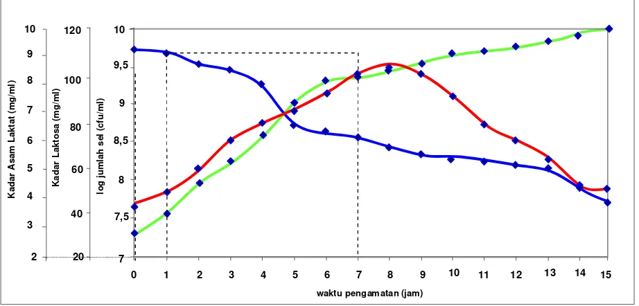 Gambar 4.  Grafik Hubungan antara Log Jumlah Sel, Kadar Laktosa, Kadar Asam Laktat dengan Waktu Pengamatan pada Pembuatan Yoghurt Orange 