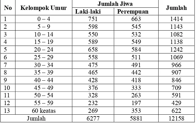 Tabel 2. Jumlah penduduk menurut kelompok umur  dan jenis kelamin Desa Ciherang