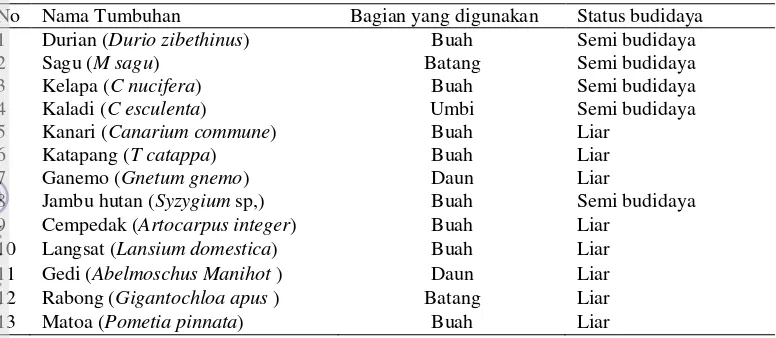 Tabel 4  Daftar spesies tumbuhan pangan yang ditemukan liar dan semi budidaya di Kampung Tomolol  
