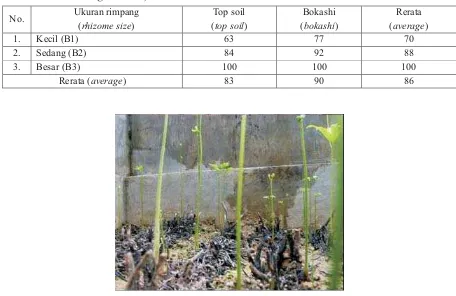 Tabel(Table)1. Persentase tumbuh tunas (%) selama 2 bulan ()The percentage of shoot growth (%)during2 months