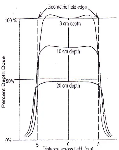 Gambar 10. Profil dosis sebuh daerah pada Dmax, kedalaman 10 cm, dan kedalaman 