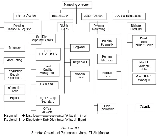 Gambar  3.1 Struktur Organisasi Perusahaan Jamu PT Air Mancur 