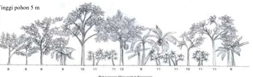 Gambar (Figure) 6. Tanaman pengayaan  di zona rehabilitasi, Resor Sarongge (Improvemet trees rehabilitation zone, Sarongge Resort) 