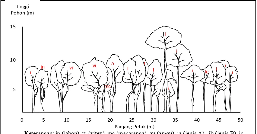 Gambar (Figure) 2. Profil tegakan hutan sekunder Desa Woda (Secondary foreststands profile in Woda village)