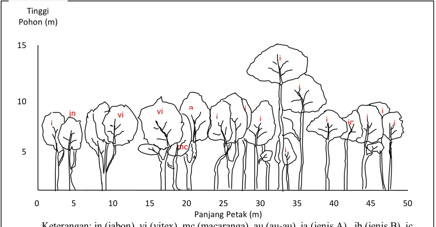 Gambar (Figure) 2. Profil tegakan hutan sekunder Desa Woda (Secondary foreststands profile in Woda village)