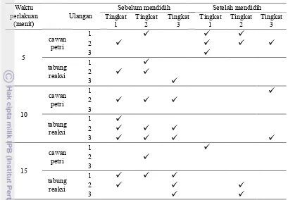 Tabel 3  Tingkat keberhasilan isolasi bibit jamur tiram putih  