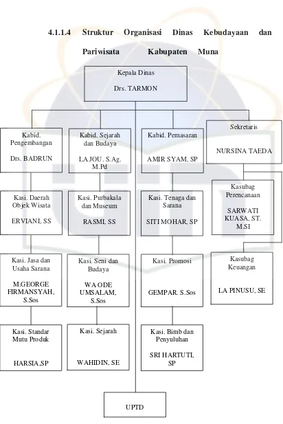 Gambar 4.2  Struktur Organisasi Dinas Kebudayaan dan Pariwisata Kabupaten Muna, tahun 2011