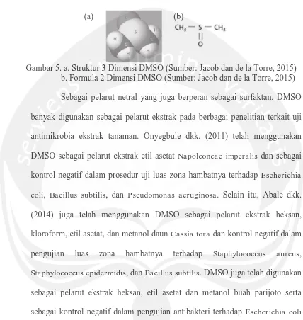 Gambar 5. a. Struktur 3 Dimensi DMSO (Sumber: Jacob dan de la Torre, 2015) b. Formula 2 Dimensi DMSO (Sumber: Jacob dan de la Torre, 2015) 