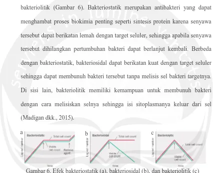 Gambar 6. Efek bakteriostatik (a), bakteriosidal (b), dan bakteriolitik (c)  antibakteri terhadap bakteri target (Sumber: Madigan dkk., 2015) 