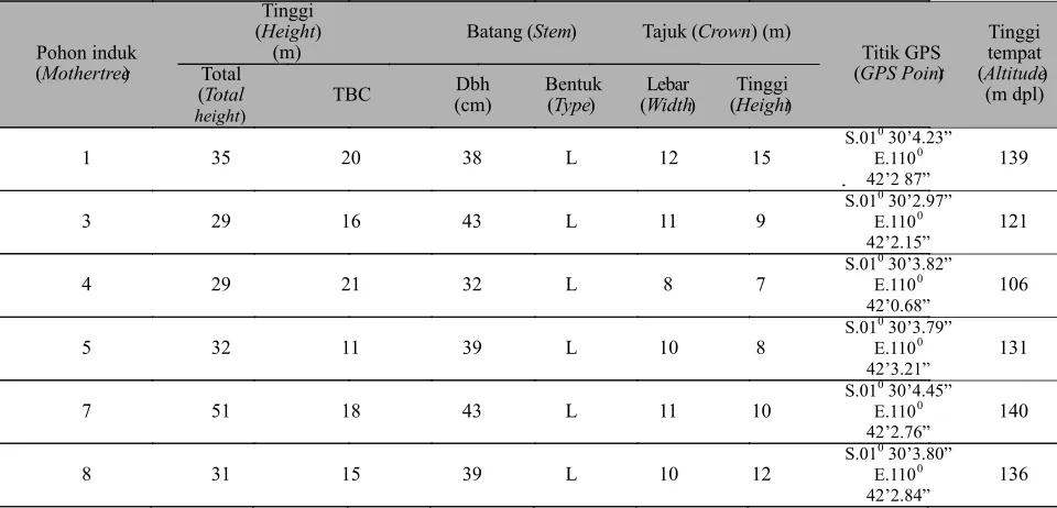 Tabel (Table          () 1. Sumber pohon induk S. leprosula dari populasi alam di Gunung Bunga KalbarMother tree of S