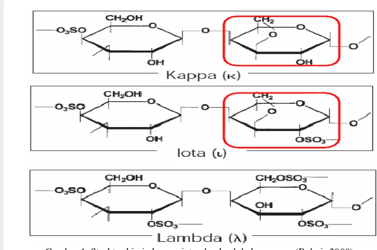 Gambar 1. Struktur kimia kappa, iota, dan lambda karagenan (Bubnis 2000) 