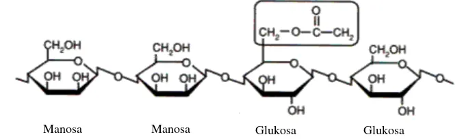 Gambar 3. Struktur kimia glukomanan (Johnson 2002) 