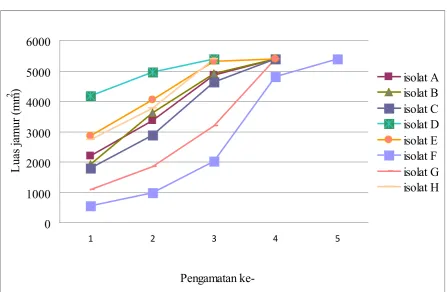 Gambar 6. Pertumbuhan isolat parental jamur Ganoderma sp