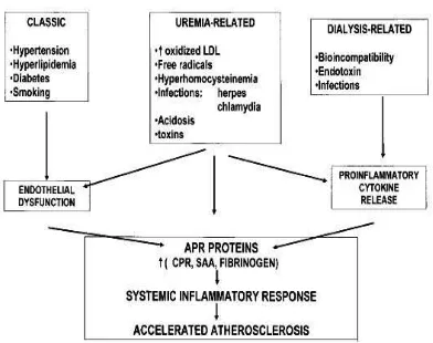 Gambar 2.3 Faktor – faktor risiko aterosklerosis pada uremia 