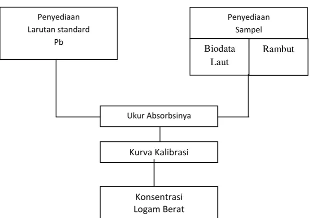 Gambar 4 : Tahap Analisis Laboratorium 
