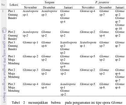 Tabel 2 Dinamika genus FMA yang diperoleh pada setiap lokasi dalam tiga kali pengamatan 