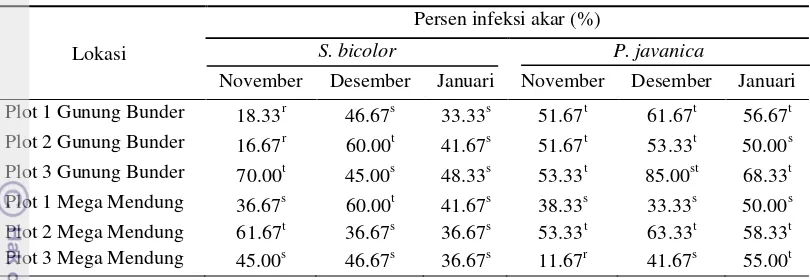 Tabel 1  Persentase infeksi akar pada tanaman inang S. bicolor dan P. javanica bulan November 2012 sampai dengan Januari 2013 