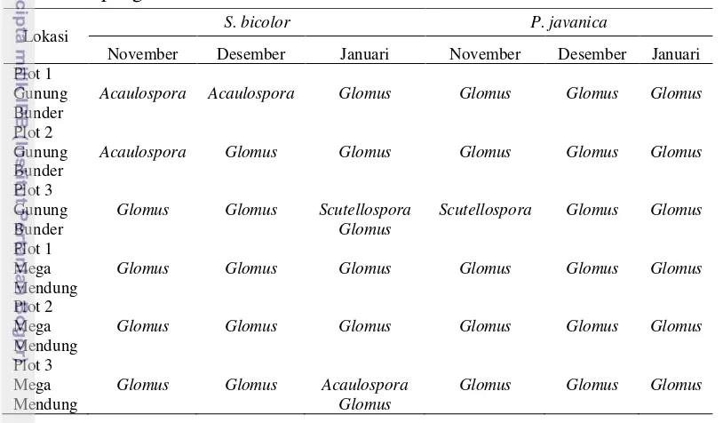 Tabel 2  Dinamika genus FMA yang diperoleh pada setiap lokasi dalam tiga kali pengamatan 