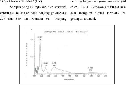 Gambar 8. Aktivitas senyawa antifungal  konsentrasi 1800 µg/ml terhadap pertumbuhan hifa jamur Ganoderma lucidum 2 hari setelah aplikasi (a) Hifa yang melilit pada hifa lain karena pengaruh aplikasi senyawa antifungal; (b) Hifa normal tanpa aplikasi senyawa antifungal (bar : 20 µm) 