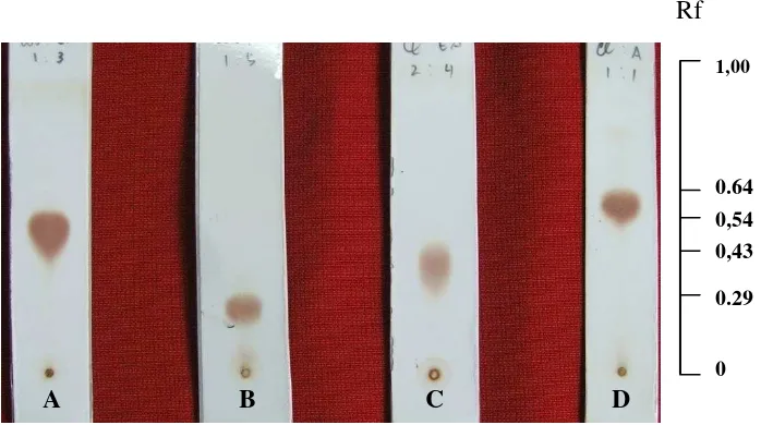 Gambar 5. Kromatografi lapis tipis senyawa hasil isolasi dengan menggunakan fase  diam silika gel GF254 dan fase gerak yang  berbeda-beda  